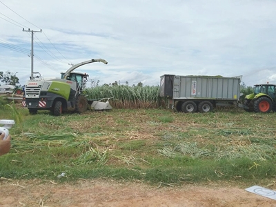 เอ็นอี.อกรีเทค, ne.agritech, ขาย TRACTOR, รถไถ, CLAAS