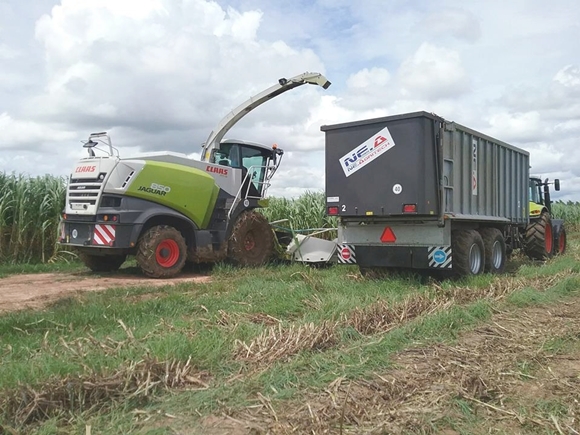 เอ็นอี.อกรีเทค, ne.agritech, ขาย TRACTOR, รถไถ, CLAAS