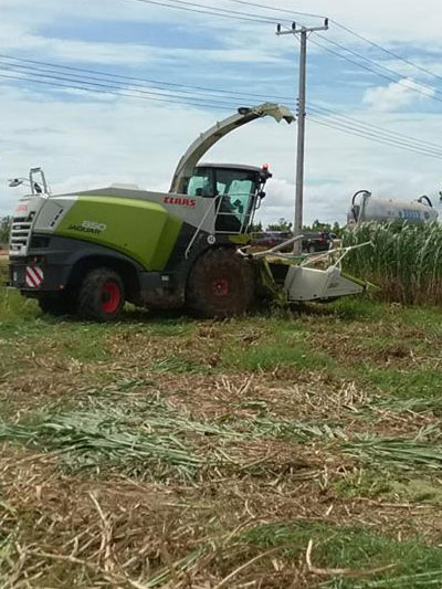 เอ็นอี.อกรีเทค, ne.agritech, ขาย TRACTOR, รถไถ, CLAAS