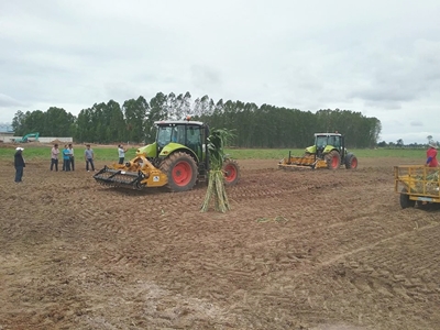 เอ็นอี.อกรีเทค, ne.agritech, ขาย TRACTOR, รถไถ, CLAAS