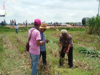 เอ็นอี.อกรีเทค, ne.agritech, ขาย TRACTOR, รถไถ, CLAAS